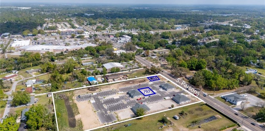 Commercial property in Seffner, Florida № 1593487