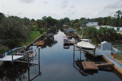 House in Port Richey, Florida 2 bedrooms, 131.74 sq.m. № 2208239 - photo 30