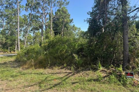 Land in Port Charlotte, Florida № 2162393 - photo 3