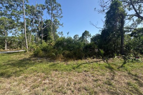 Land in Port Charlotte, Florida № 2162393