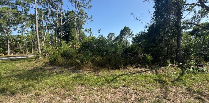 Land in Port Charlotte, Florida № 2162393