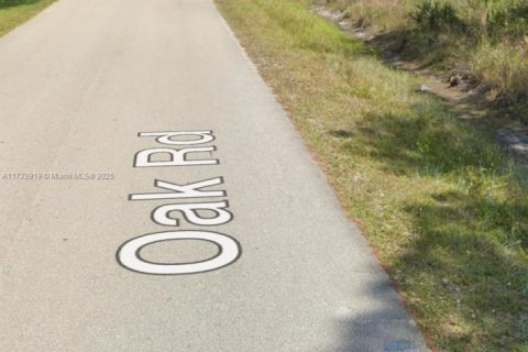 Land in Sebring, Florida № 1865766 - photo 1