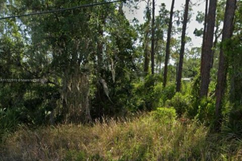 Land in Sebring, Florida № 1865766 - photo 2