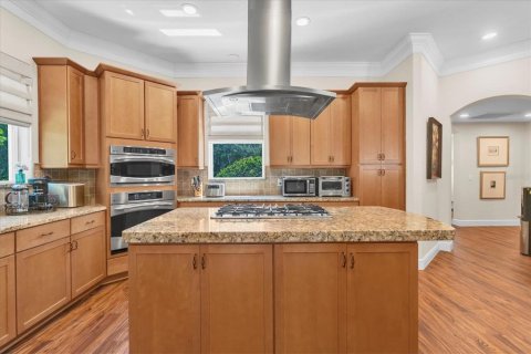 Villa ou maison à vendre à Fish Hawk, Floride: 4 chambres, 468.04 m2 № 2151291 - photo 17