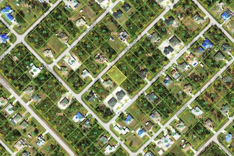 Land in Port Charlotte, Florida № 2160327 - photo 2