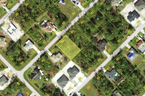 Land in Port Charlotte, Florida № 2160327
