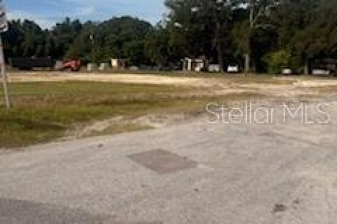 Terreno en venta en Mount Dora, Florida № 1881002 - foto 1