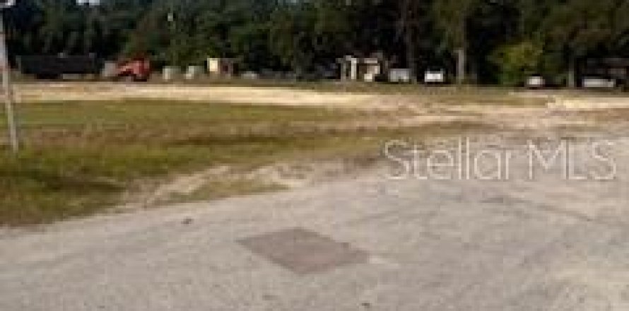 Terreno en Mount Dora, Florida № 1881002
