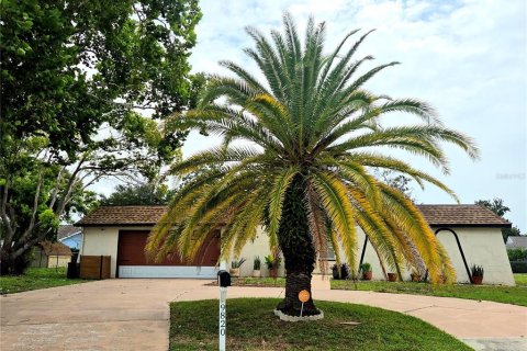 Villa ou maison à vendre à Port Richey, Floride: 3 chambres, 159.05 m2 № 2224936 - photo 2