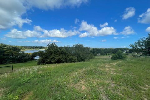 Terreno en venta en Eustis, Florida № 1791808 - foto 10