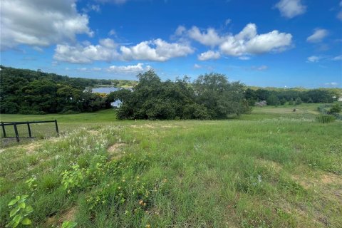 Terreno en venta en Eustis, Florida № 1791808 - foto 23