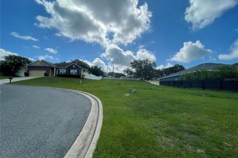 Terreno en venta en Eustis, Florida № 1791808 - foto 15