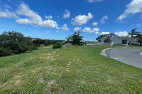 Terreno en venta en Eustis, Florida № 1791808 - foto 9