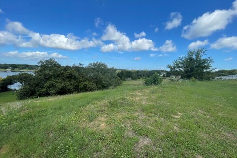 Terreno en venta en Eustis, Florida № 1791808 - foto 6