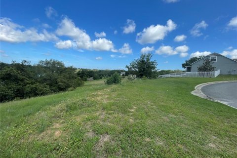 Terreno en venta en Eustis, Florida № 1791808 - foto 7