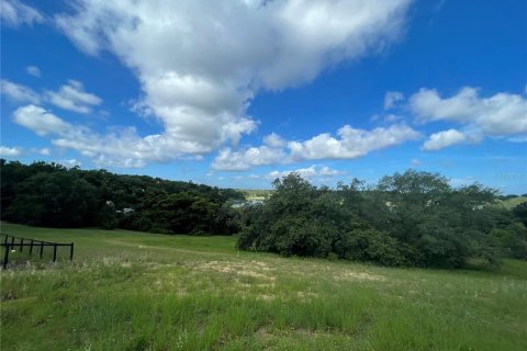 Terreno en venta en Eustis, Florida № 1791808 - foto 17