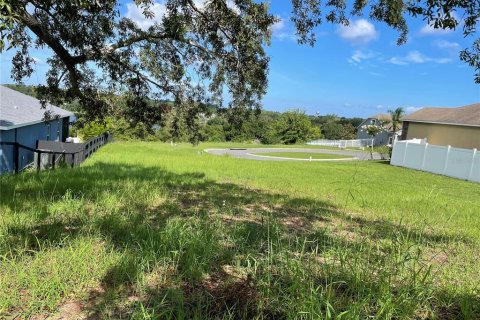 Terreno en venta en Eustis, Florida № 1791808 - foto 3