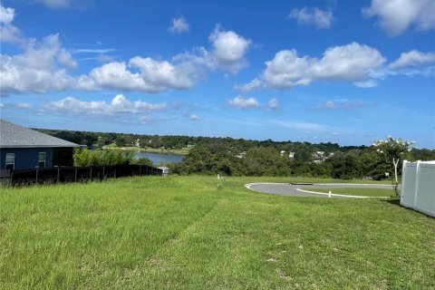 Terreno en venta en Eustis, Florida № 1791808 - foto 1