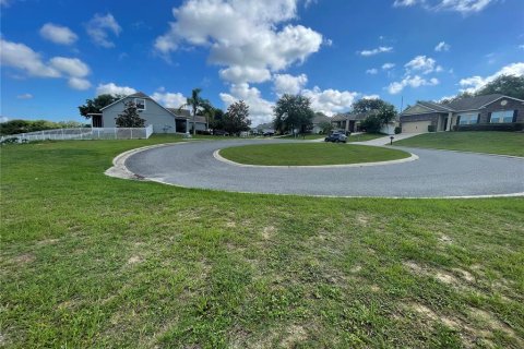 Terreno en venta en Eustis, Florida № 1791808 - foto 8
