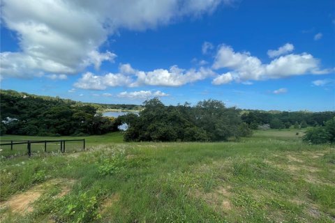 Terreno en venta en Eustis, Florida № 1791808 - foto 11