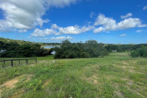 Terreno en venta en Eustis, Florida № 1791808 - foto 5