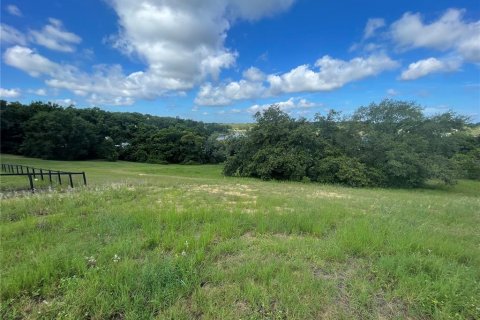 Terreno en venta en Eustis, Florida № 1791808 - foto 19