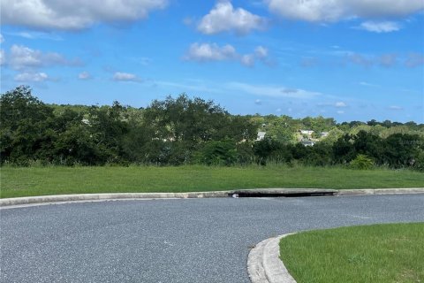 Terreno en venta en Eustis, Florida № 1791808 - foto 30