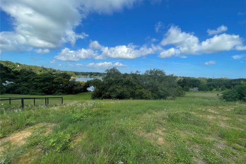 Terreno en venta en Eustis, Florida № 1791808 - foto 4