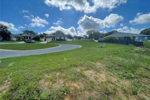 Terreno en venta en Eustis, Florida № 1791808 - foto 21