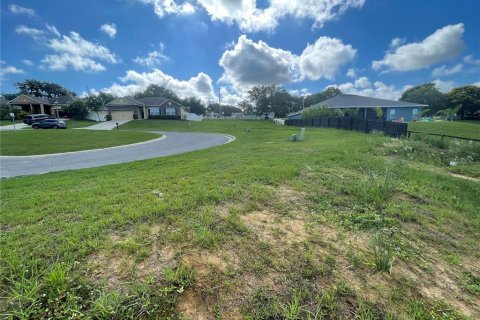 Terreno en venta en Eustis, Florida № 1791808 - foto 20