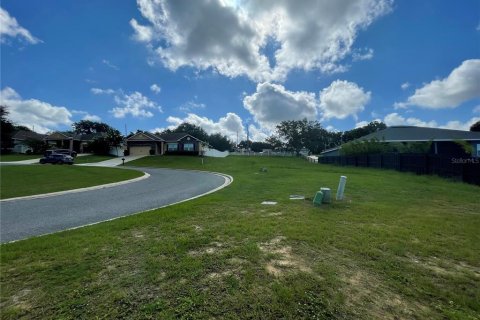 Terreno en venta en Eustis, Florida № 1791808 - foto 14