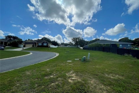 Terreno en venta en Eustis, Florida № 1791808 - foto 16