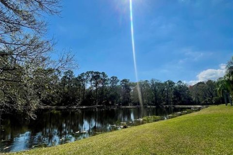 Villa ou maison à vendre à Odessa, Floride: 4 chambres, 218.88 m2 № 2216131 - photo 22