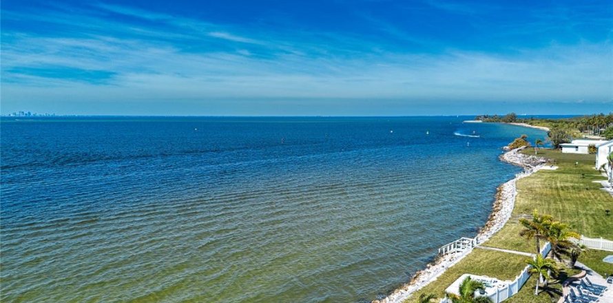 Condo à Ruskin, Floride, 2 chambres № 2131737
