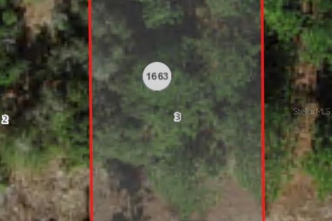Land in Citrus Springs, Florida № 2163137