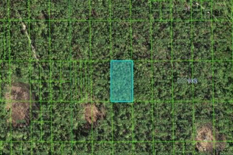 Land in Lake Wales, Florida № 2158935