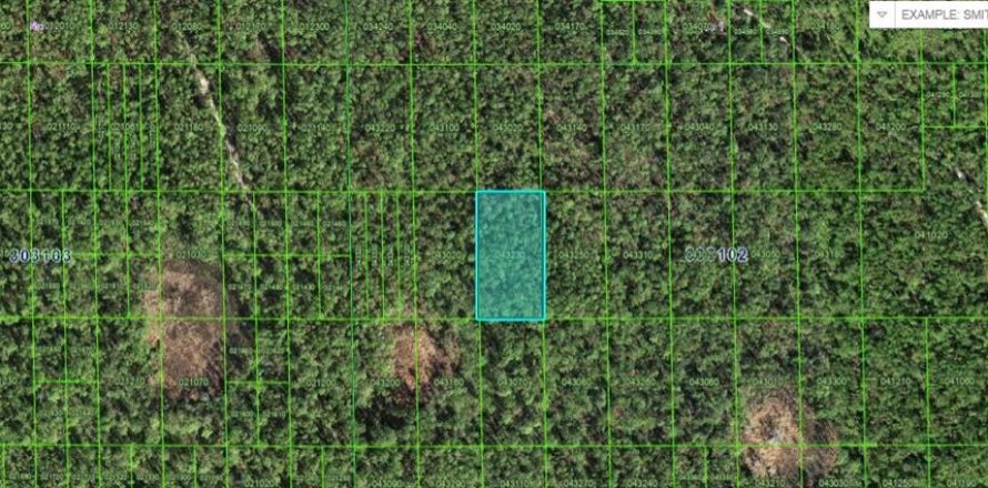 Land in Lake Wales, Florida № 2158935