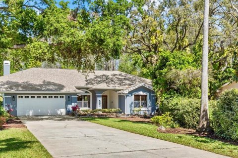 House in Palm Harbor, Florida 4 bedrooms, 273.04 sq.m. № 1583251 - photo 1