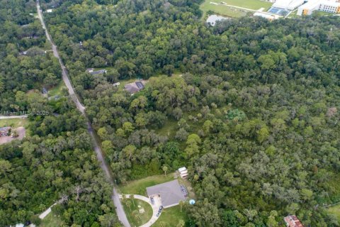 Terrain à vendre à Deltona, Floride № 1981952 - photo 5