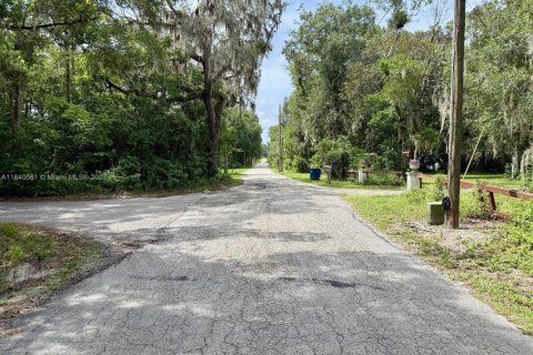 Terrain à vendre à Deltona, Floride № 1981952 - photo 6