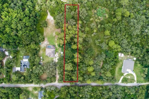 Terrain à vendre à Deltona, Floride № 1981952 - photo 3