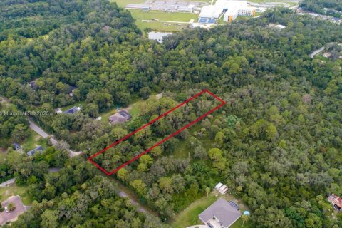 Terrain à vendre à Deltona, Floride № 1981952 - photo 2