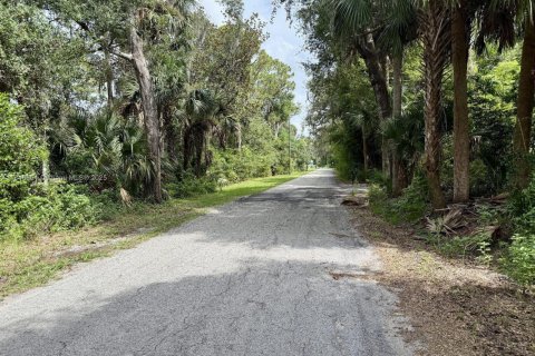 Terrain à vendre à Deltona, Floride № 1981952 - photo 4