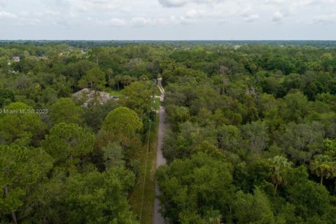 Terrain à vendre à Deltona, Floride № 1981952 - photo 7
