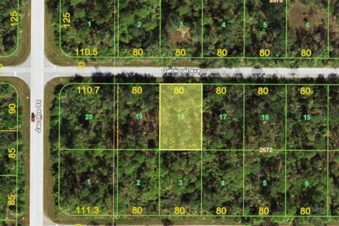 Terreno en Port Charlotte, Florida № 2226687