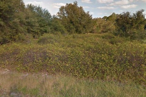 Land in Lehigh Acres, Florida № 2163966