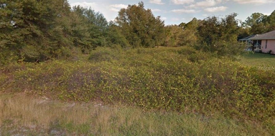 Land in Lehigh Acres, Florida № 2163966