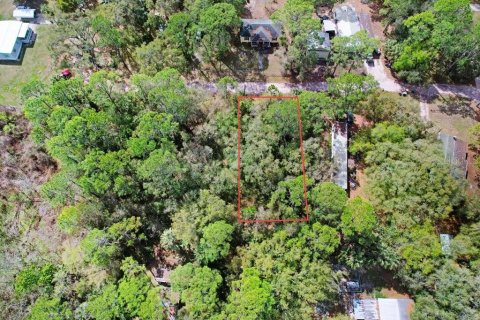 Land in Lake Wales, Florida № 2218299 - photo 2