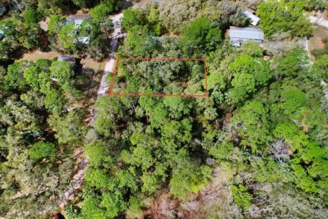 Land in Lake Wales, Florida № 2218299 - photo 3