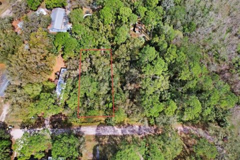 Land in Lake Wales, Florida № 2218299